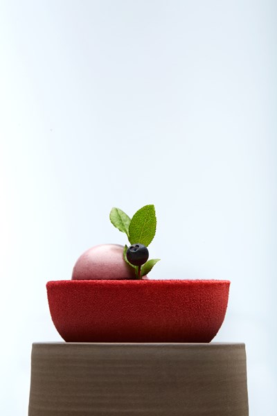 FORESTIS Food Blaubeere