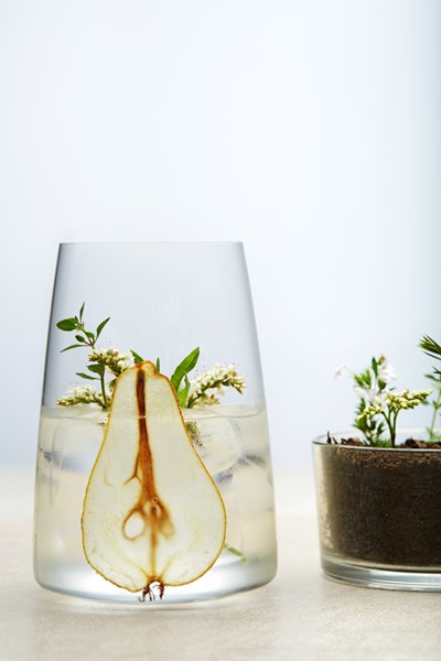 FORESTIS Food Gin Birne