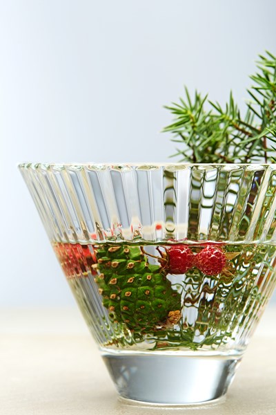 FORESTIS Food Waldwasser