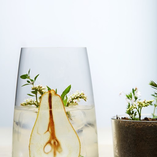 FORESTIS Food Gin Birne