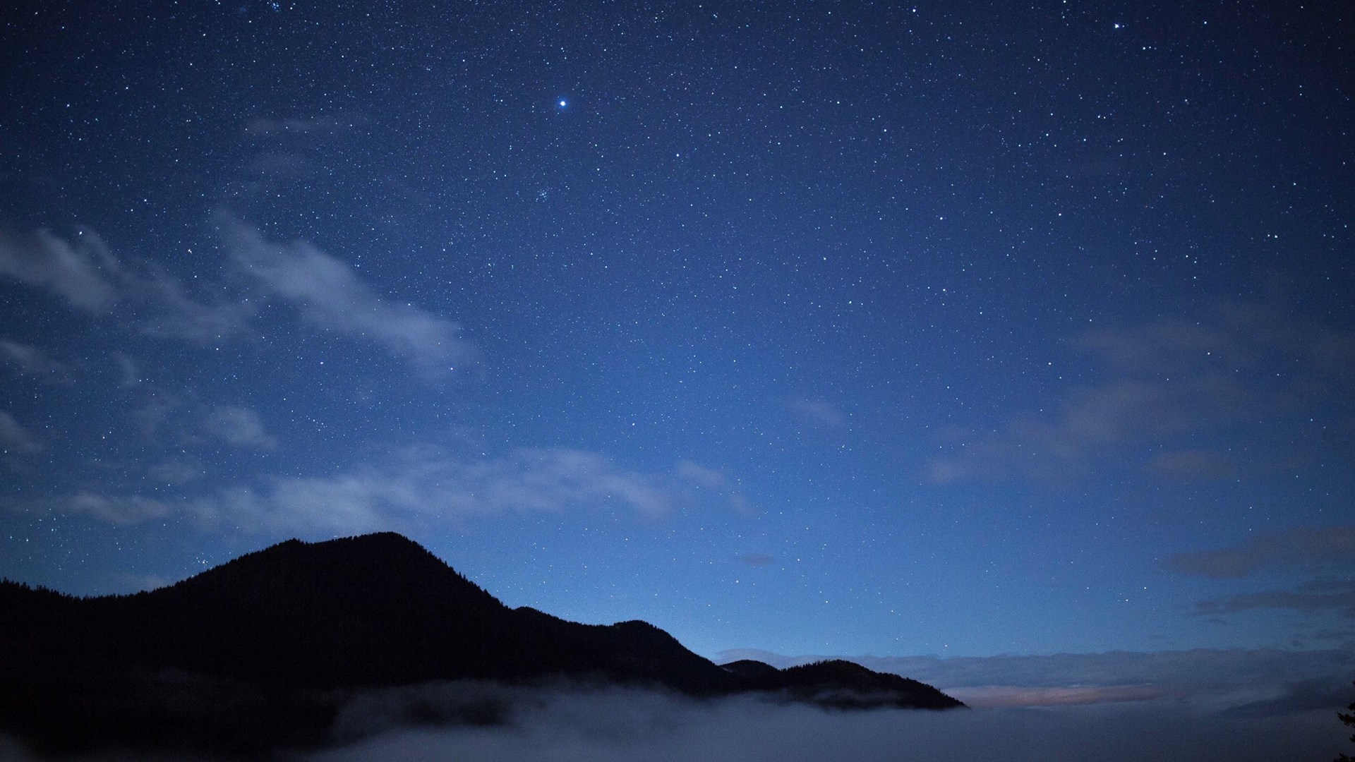 FORESTIS Sternenhimmel
