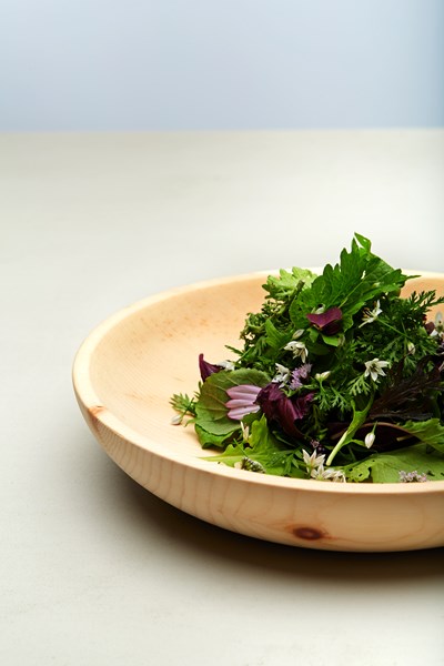 FORESTIS Food Salat