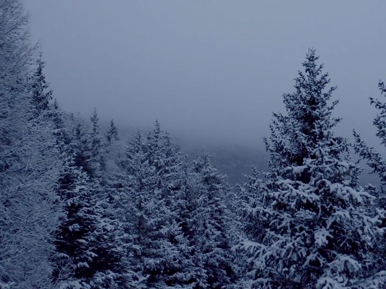 Die Kraft der Einfachheit