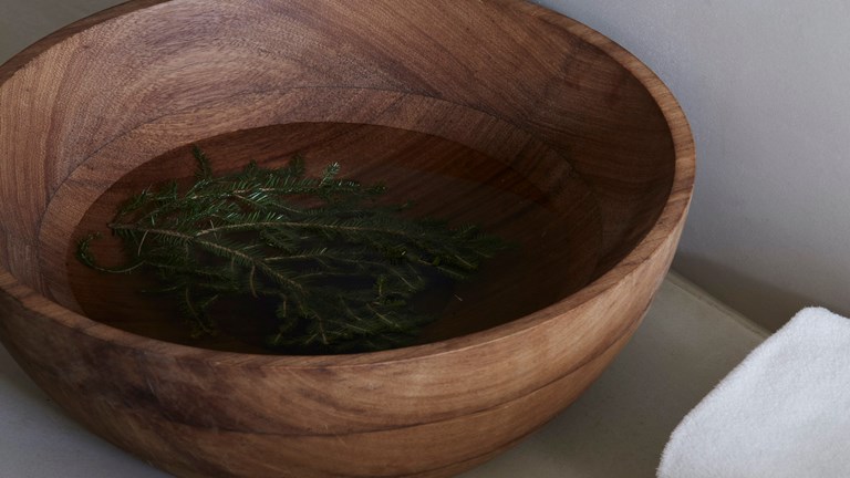 FORESTIS Waldanwendungen