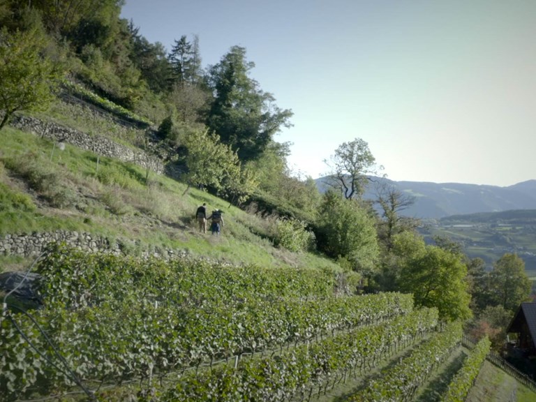 Eine Philosophie des Köstlichen