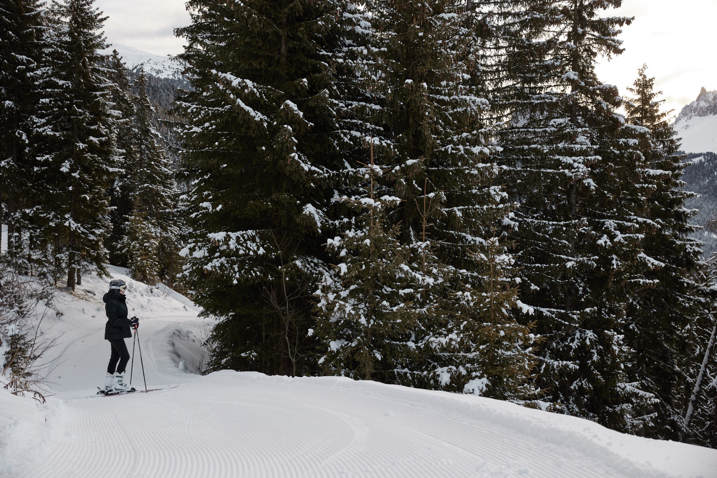 FORESTIS Ski In Ski Out 