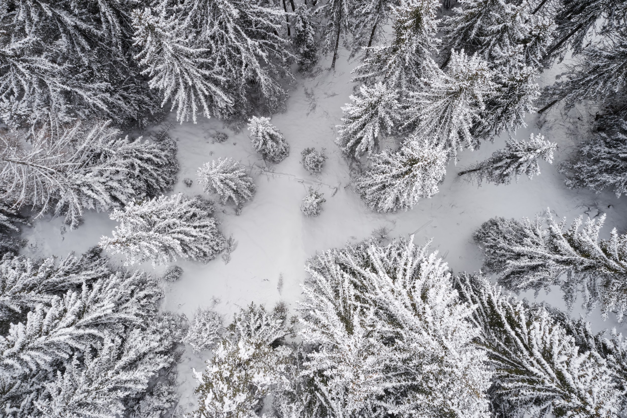 FORESTIS Aussenansicht Winter 