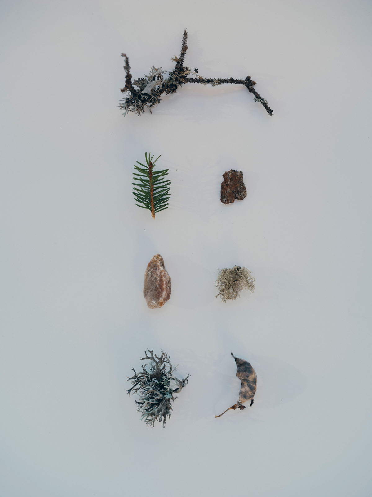 Forestis Dolomites Luxury Hotel 