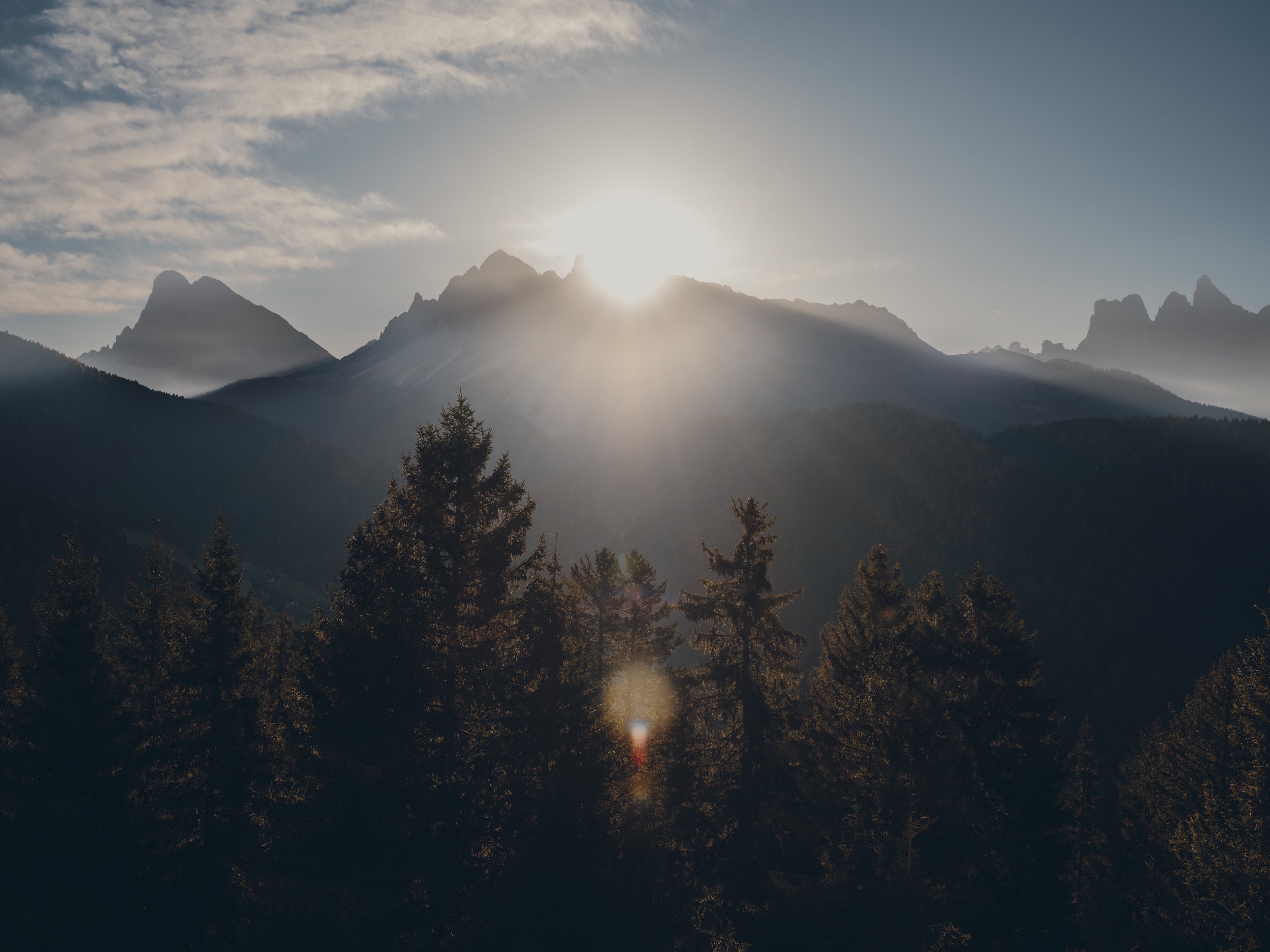 FORESTIS Nature 2025 12