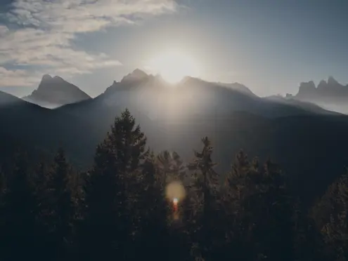 FORESTIS Nature 2025 12