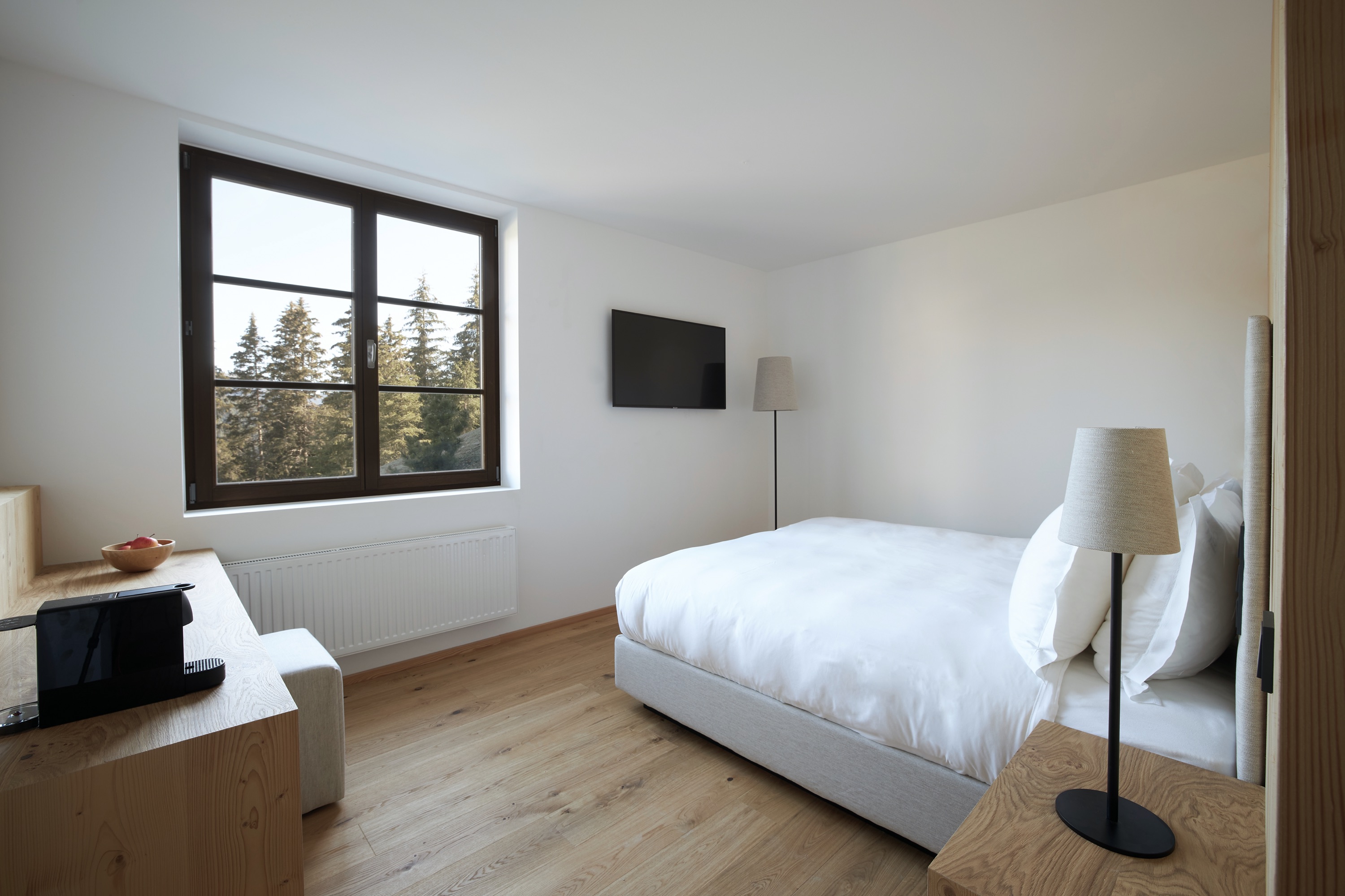 FORESTIS Room