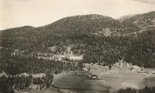 FORESTIS History 2