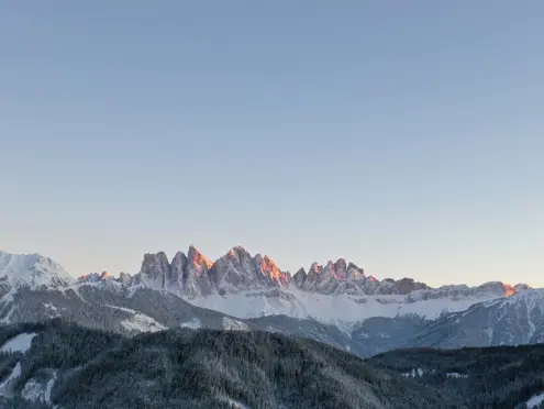 FORESTIS Panorama 1