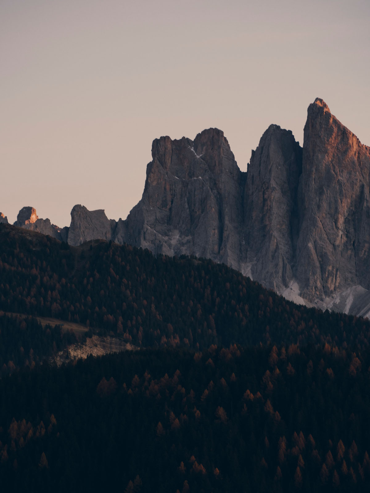 Forestis Dolomites Luxury Hotel8350