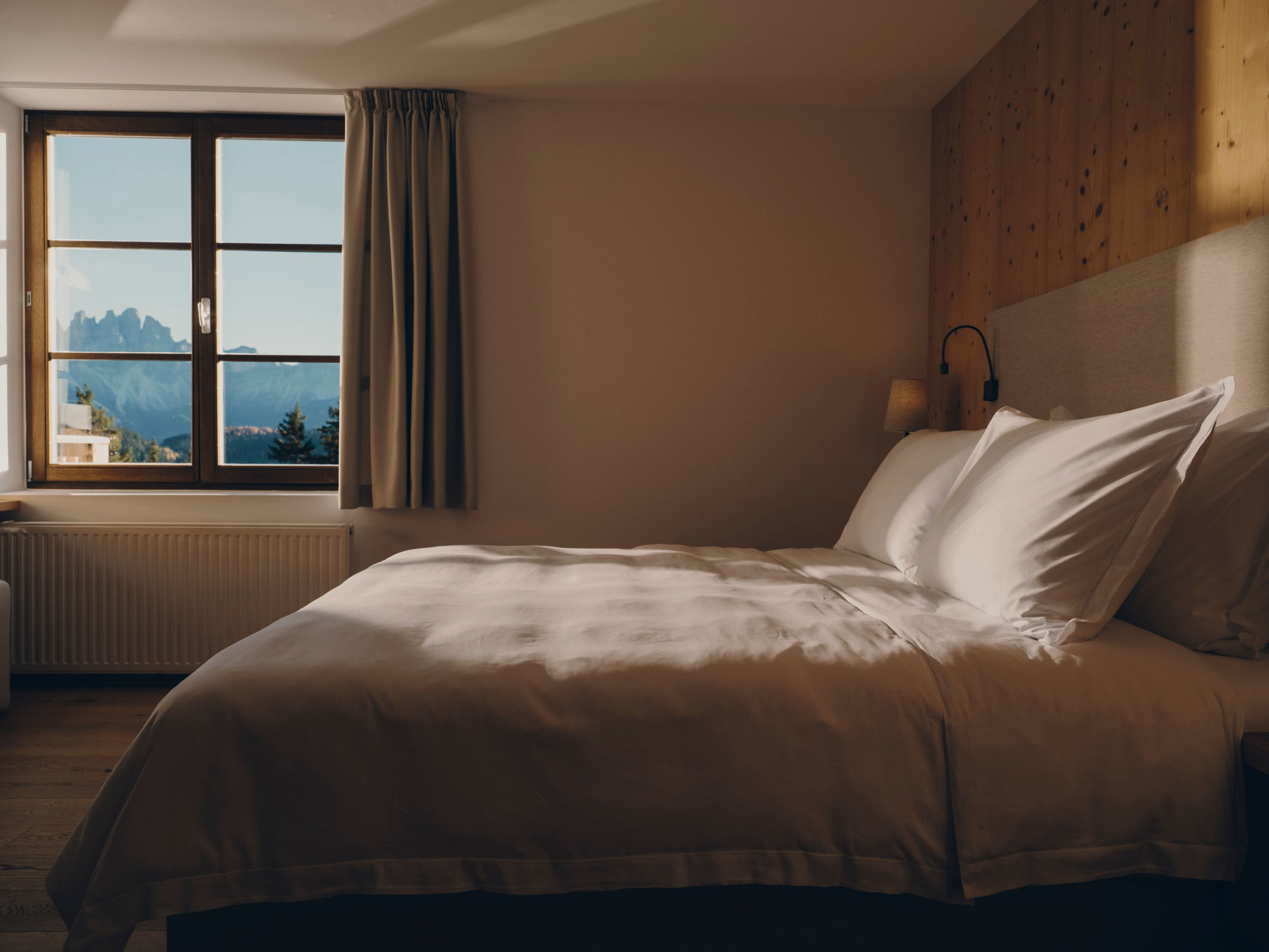 Forestis Dolomites Luxury Hotel8112