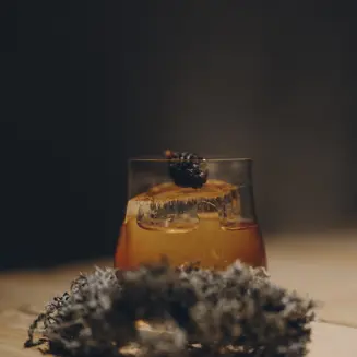 forestis-bar-2025-5.jpeg