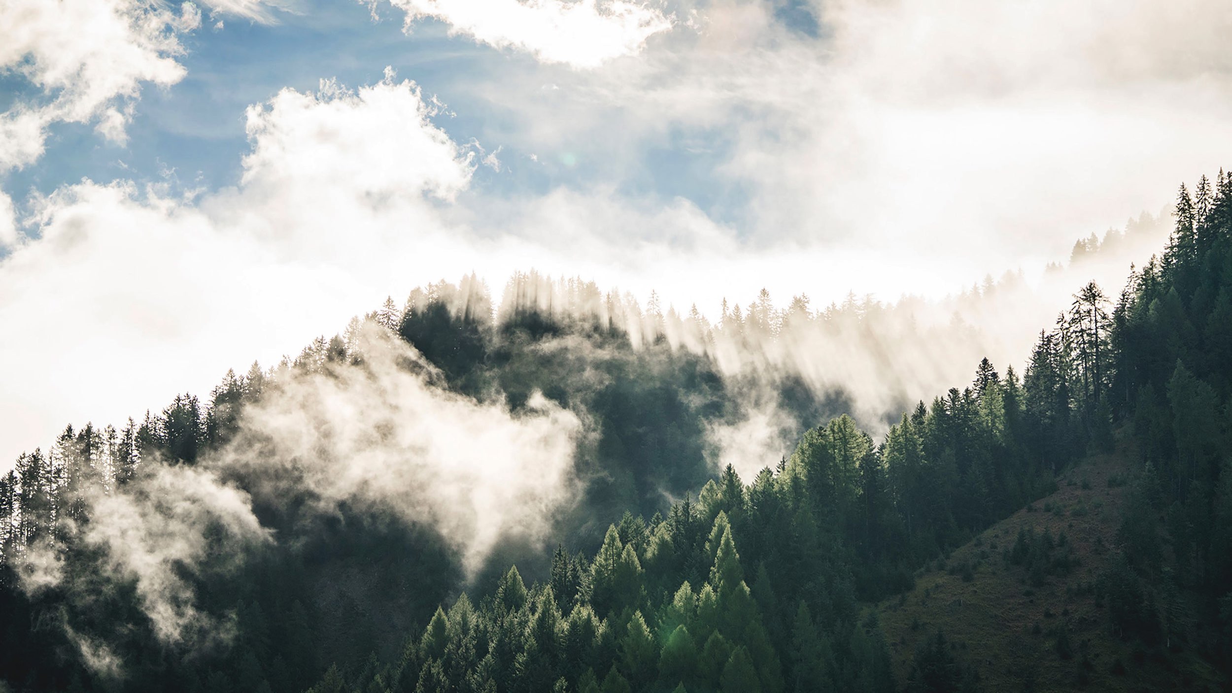 FORESTIS Foggy Mountains 2