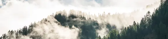 FORESTIS Foggy Mountains 2