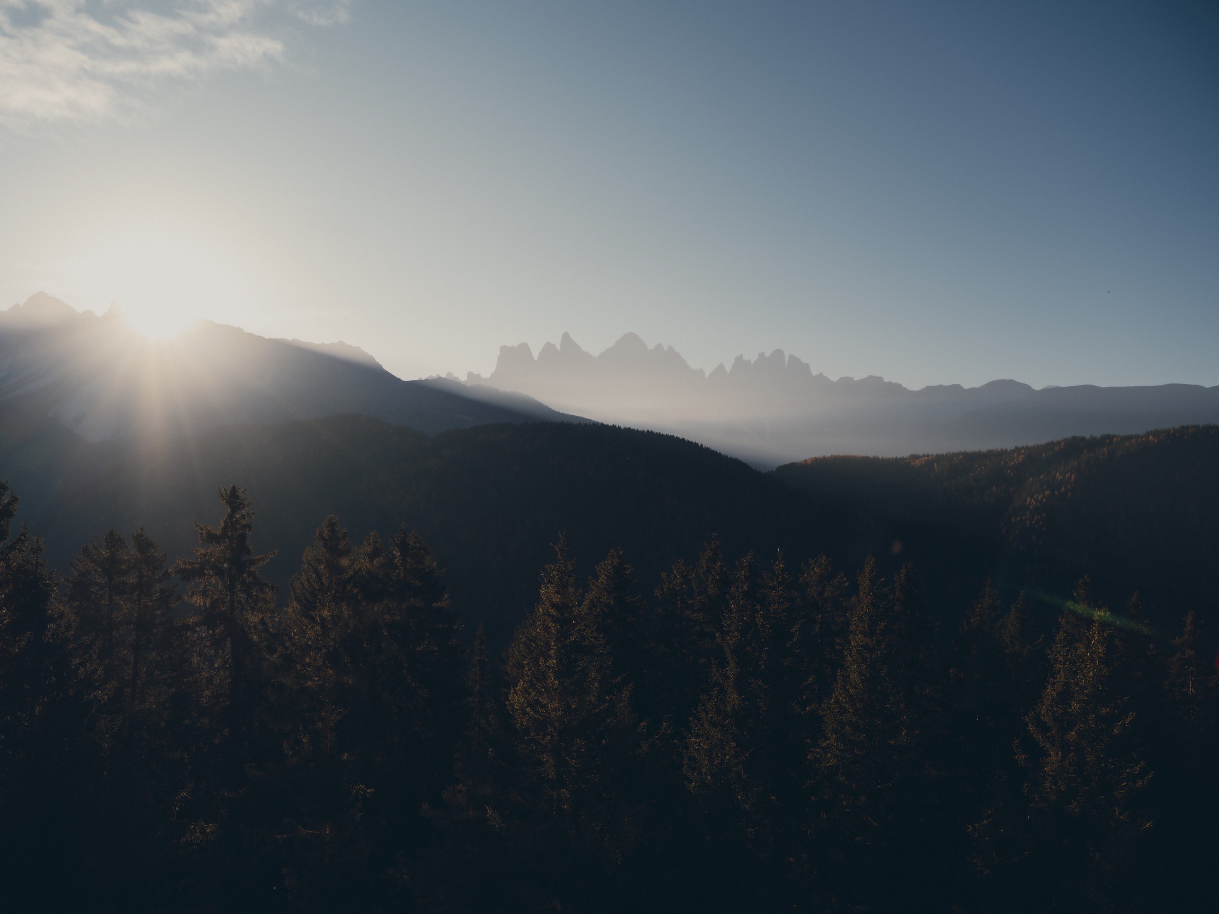 FORESTIS-Nature-2025-11.jpg