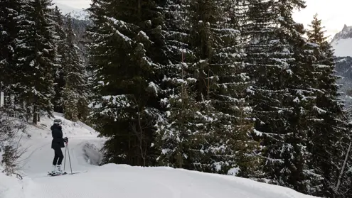 FORESTIS Ski In Ski Out 2
