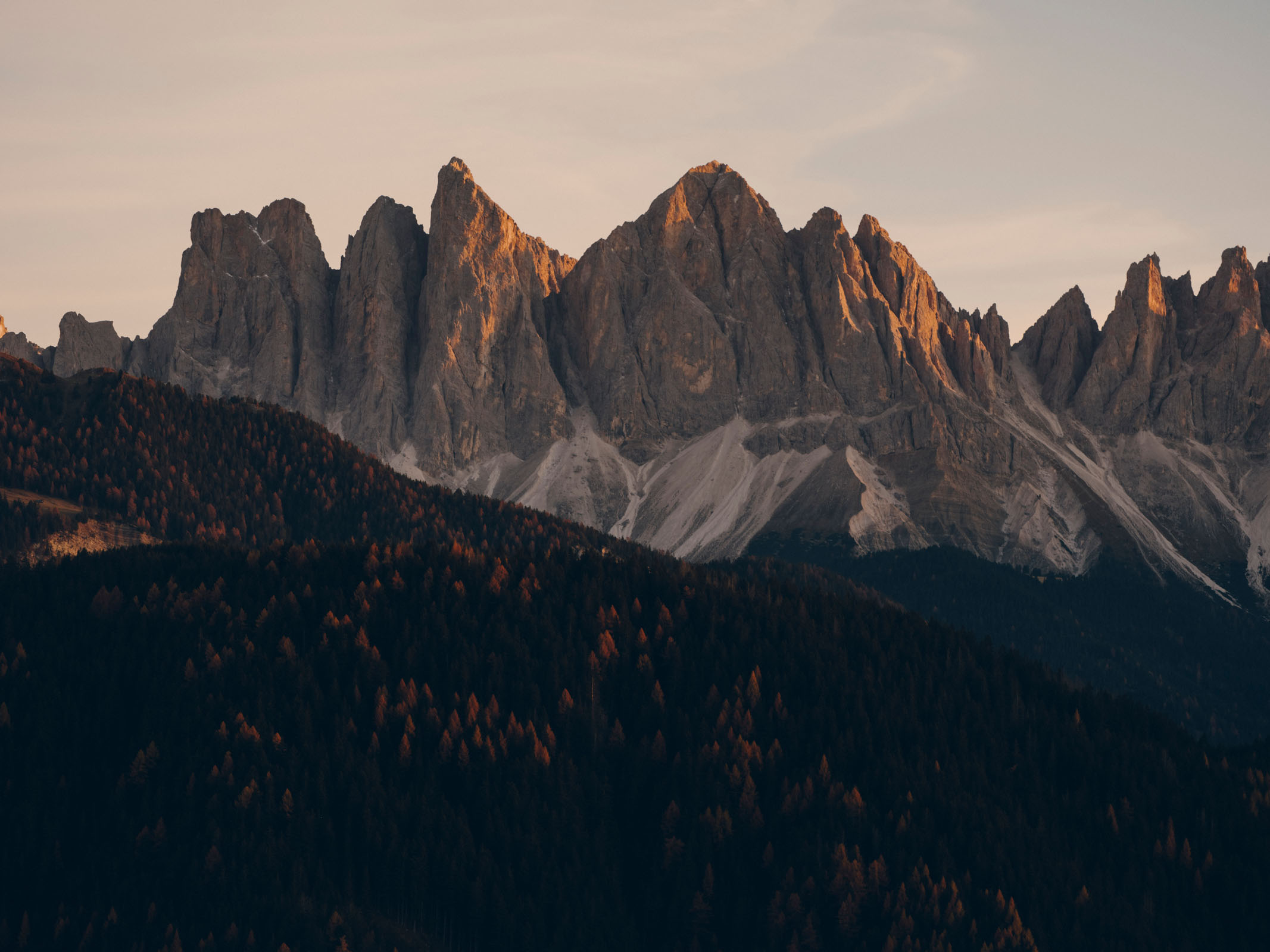 Forestis Dolomites Luxury Hotel8323