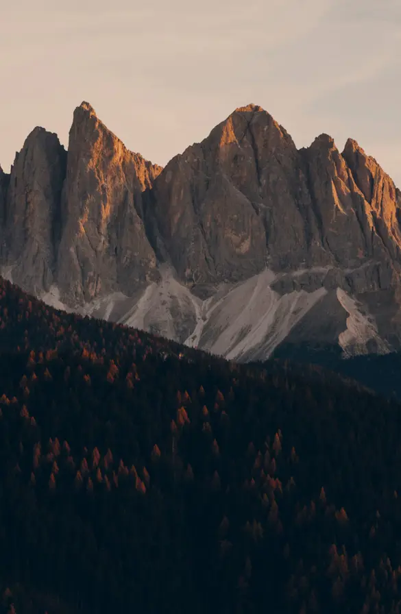 Forestis Dolomites Luxury Hotel8323