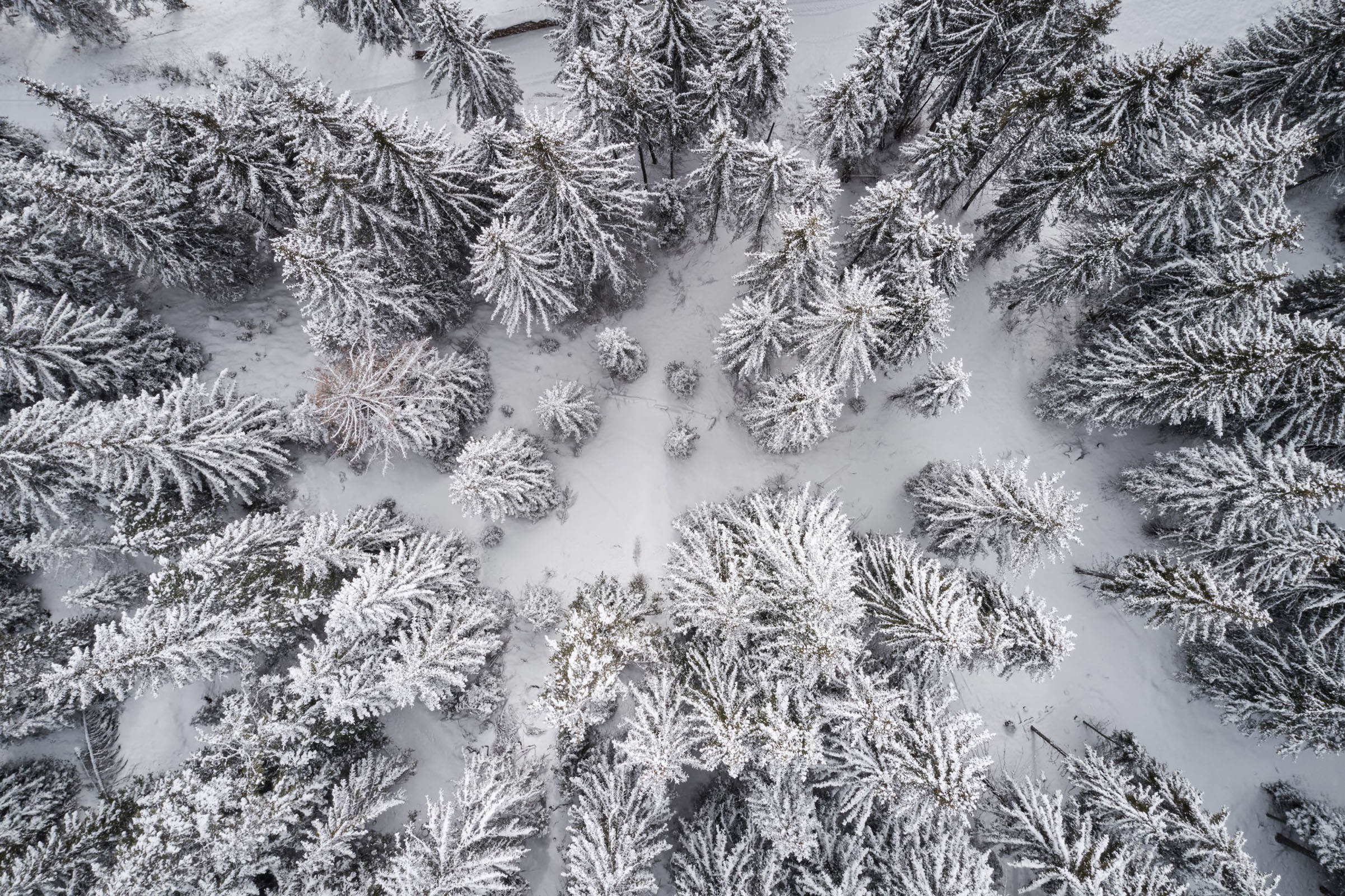 FORESTIS Aussenansicht Winter 39
