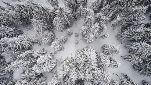 FORESTIS Aussenansicht Winter 39