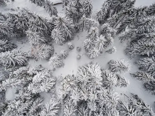 FORESTIS Aussenansicht Winter 39