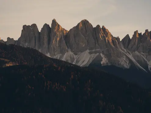 FORESTIS View
