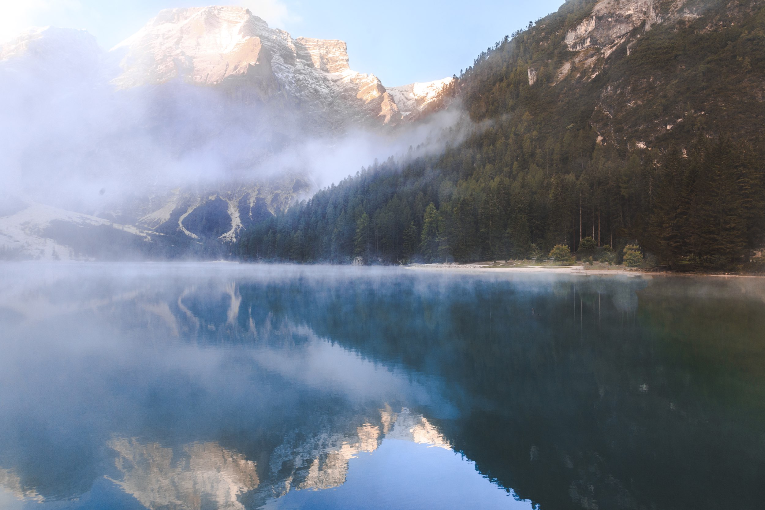 FORESTIS See