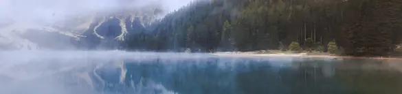 FORESTIS See