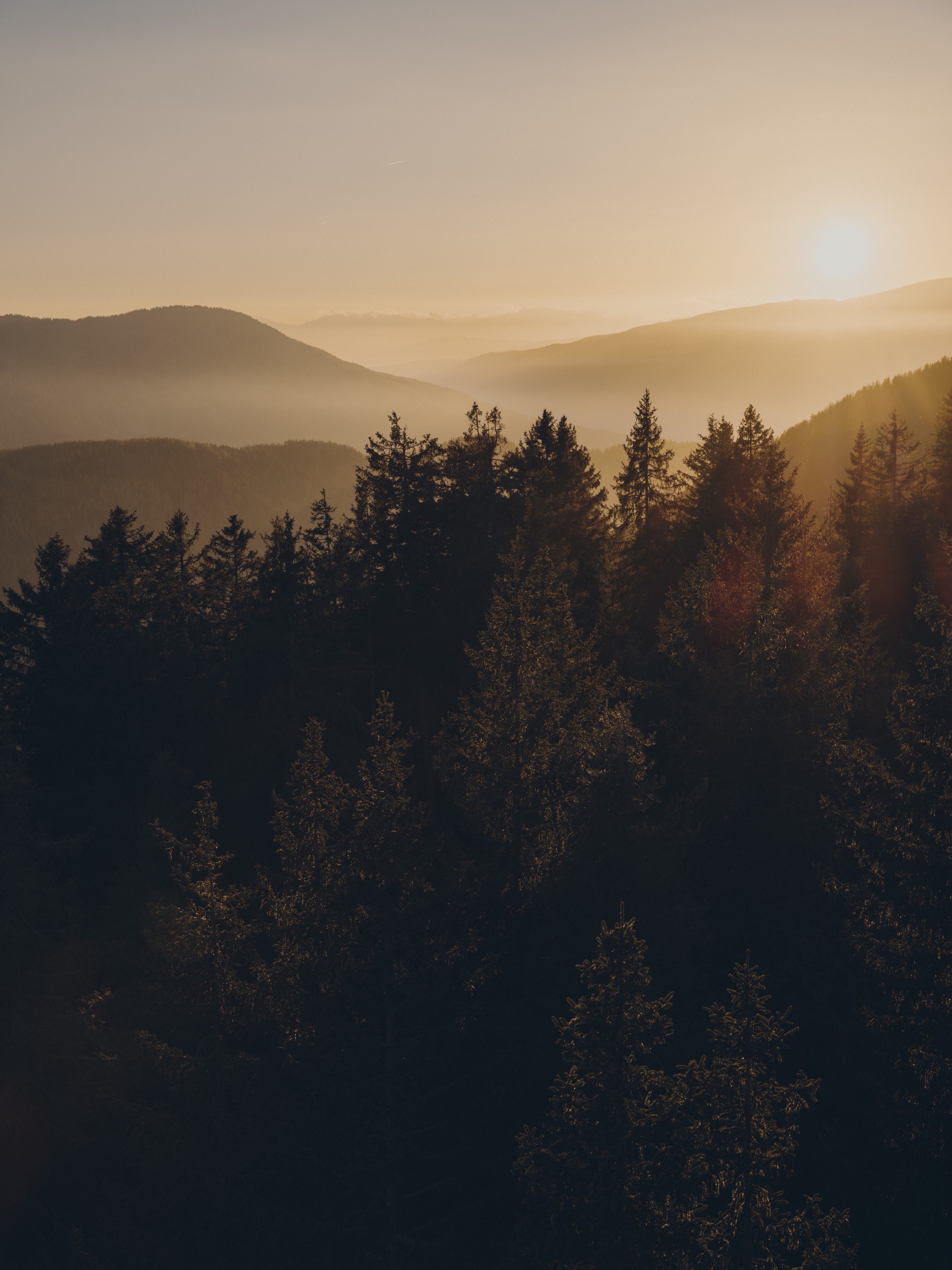 FORESTIS Nature 2025 15