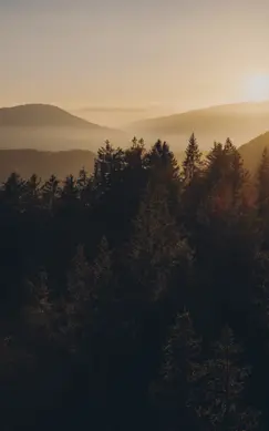 FORESTIS Nature 2025 15