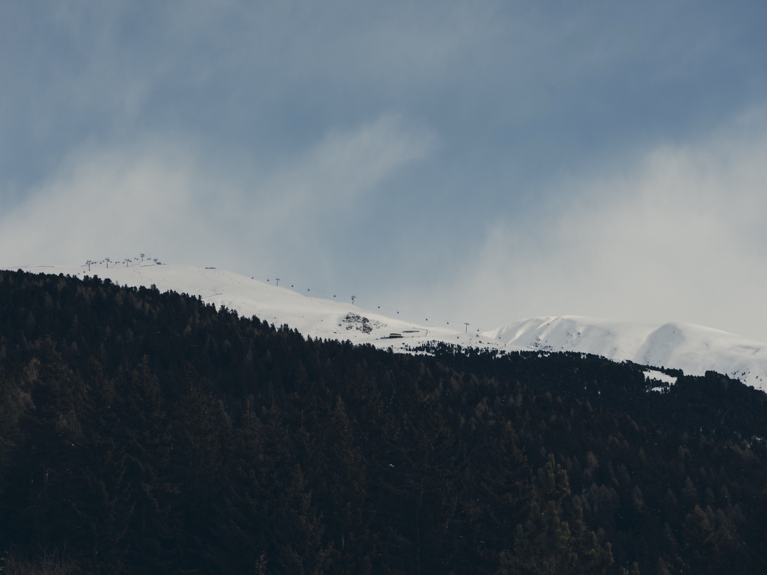 FORESTIS-Nature-2026-7.jpg