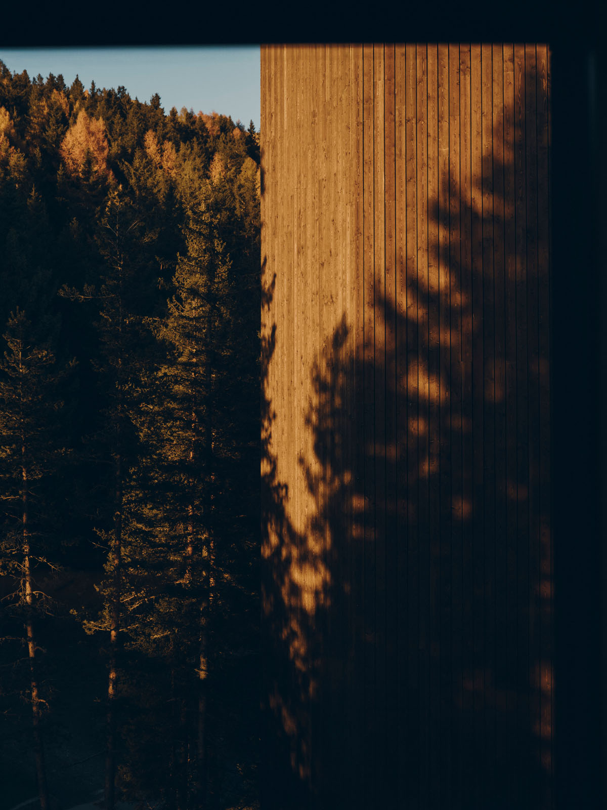 Forestis Dolomites Luxury Hotel4365