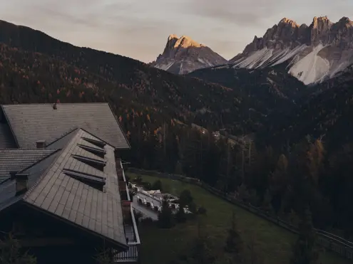 FORESTIS View 1