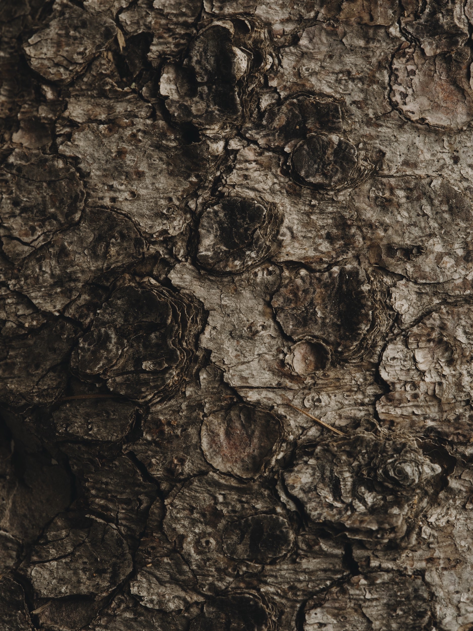 yera-details-17.jpeg
