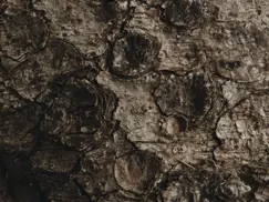 yera-details-17.jpeg