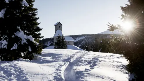 FORESTIS Skitouren 2