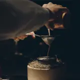 FORESTIS Bar 2025 4