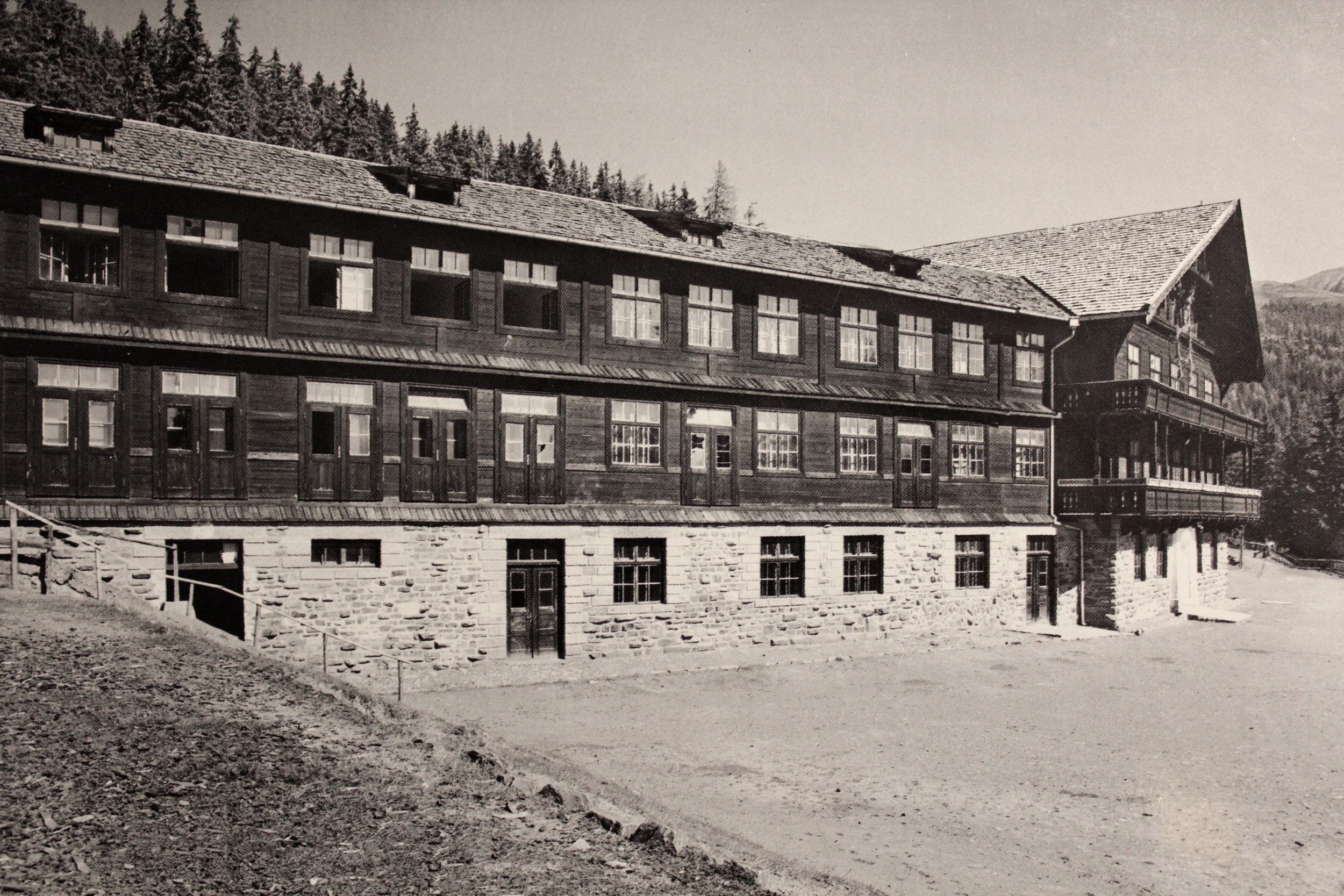FORESTIS History 8